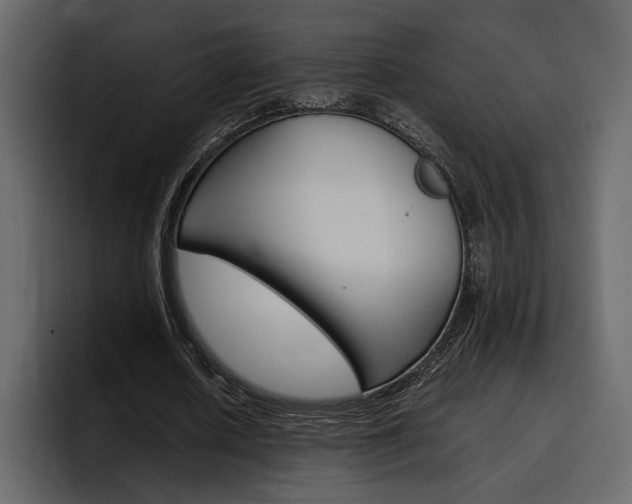 X0000097480626200802220821
