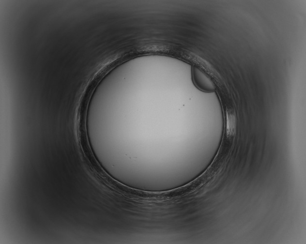 X0000097480627200802220821