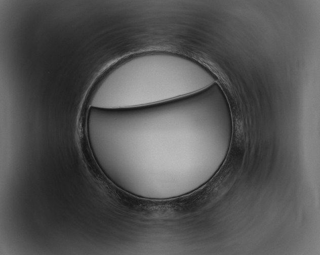 X0000097480628200802220821