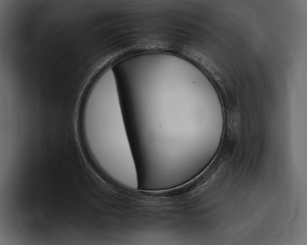X0000097480629200802220821
