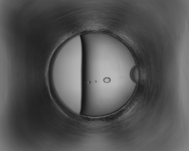 X0000097480630200802220821