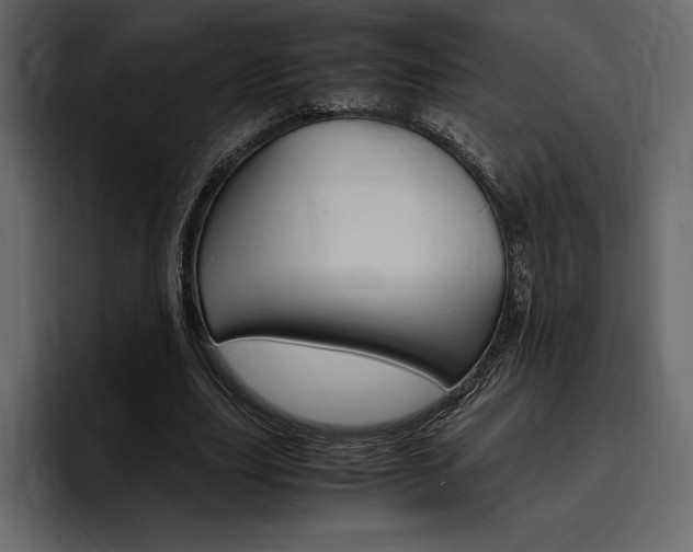 X0000097480631200802220821