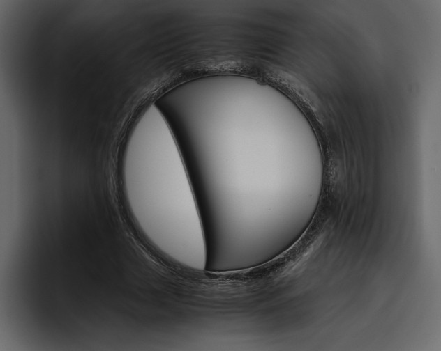 X0000097480633200802220821