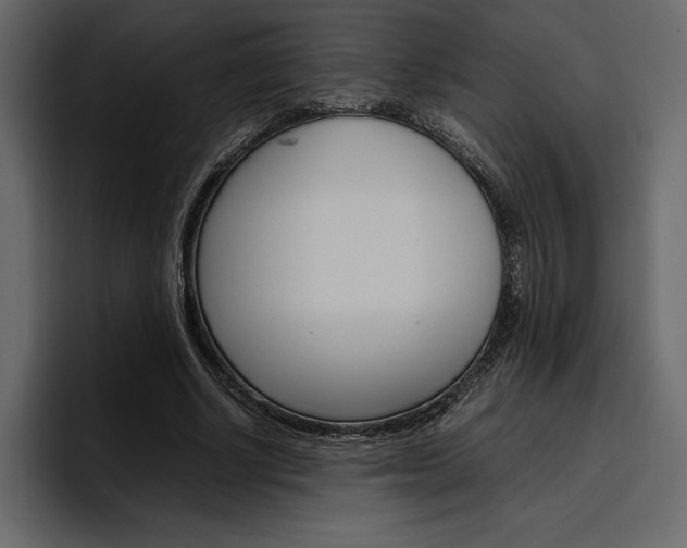 X0000097480634200802220821