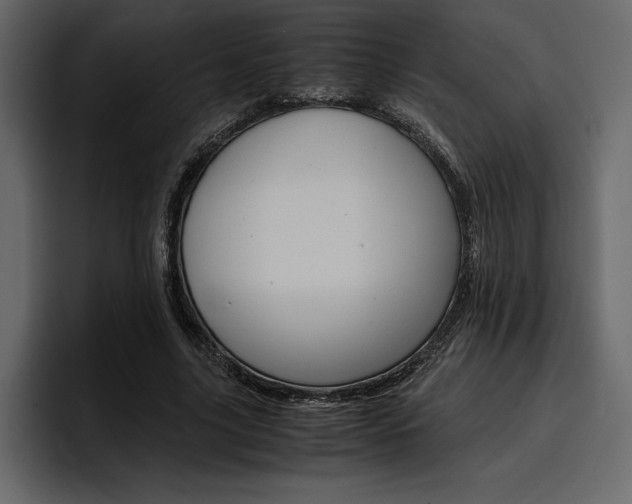 X0000097480635200802220821