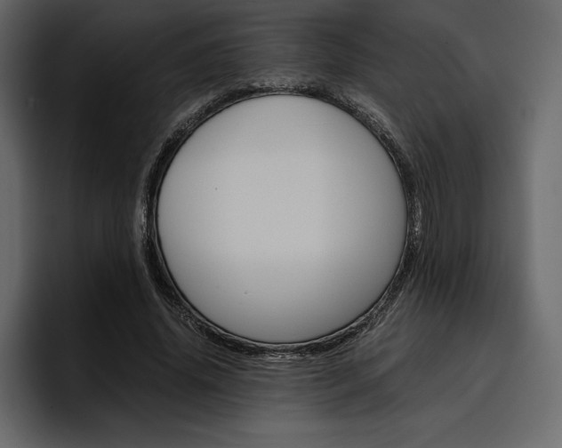 X0000097480636200802220821