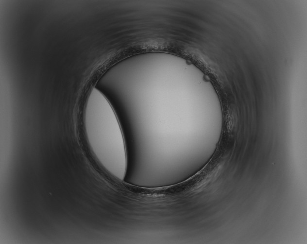X0000097480637200802220821