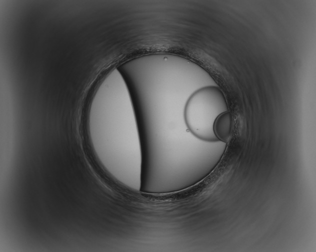 X0000097480638200802220821