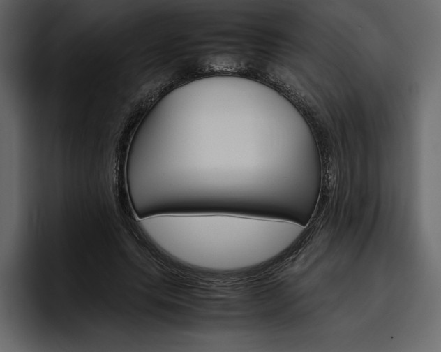 X0000097480639200802220821