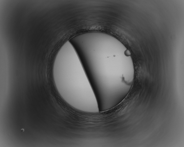 X0000097480643200802220821