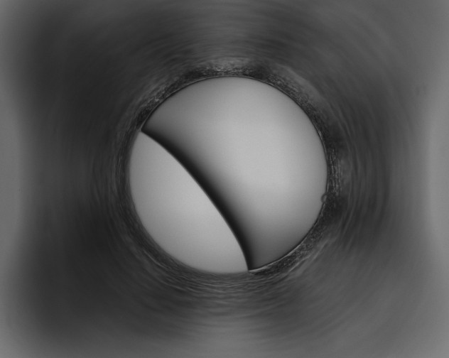 X0000097480644200802220821