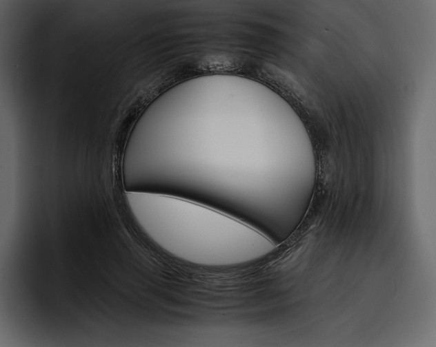 X0000097480645200802220821