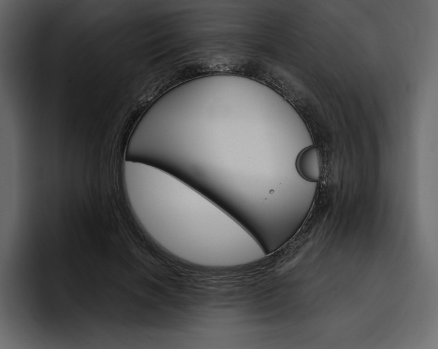 X0000097480646200802220821