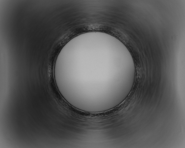 X0000097480648200802220821