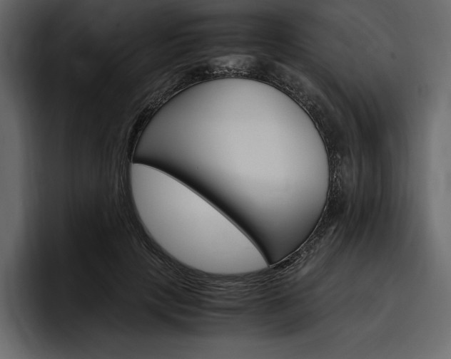 X0000097480649200802220821