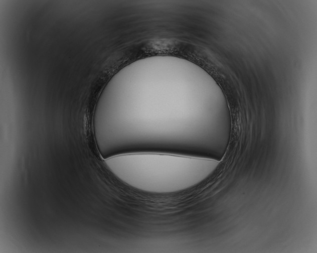 X0000097480651200802220821