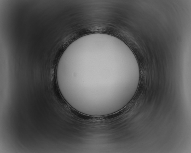 X0000097480652200802220821
