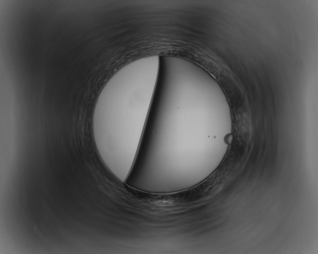 X0000097480653200802220821
