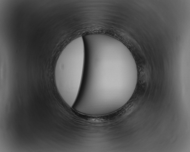 X0000097480654200802220821