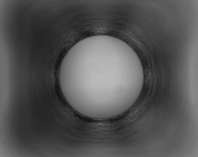 X0000097480655200802220821