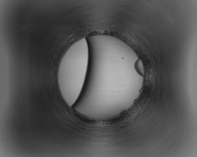 X0000097480656200802220821