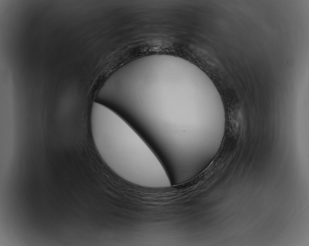X0000097480657200802220821