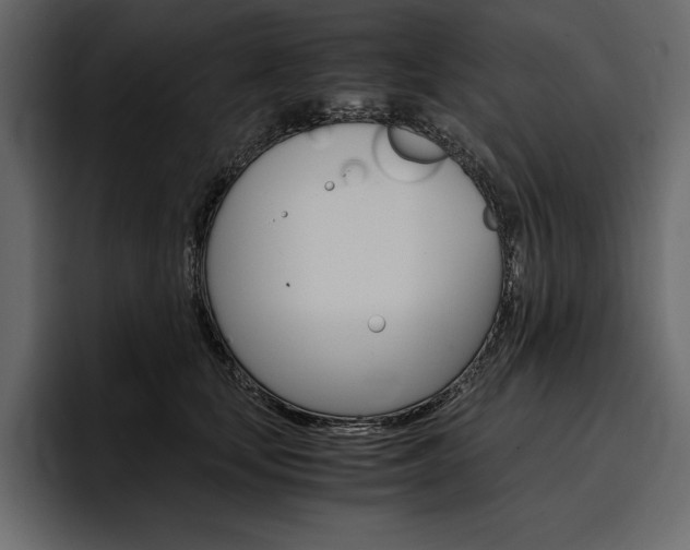 X0000097480659200802220821