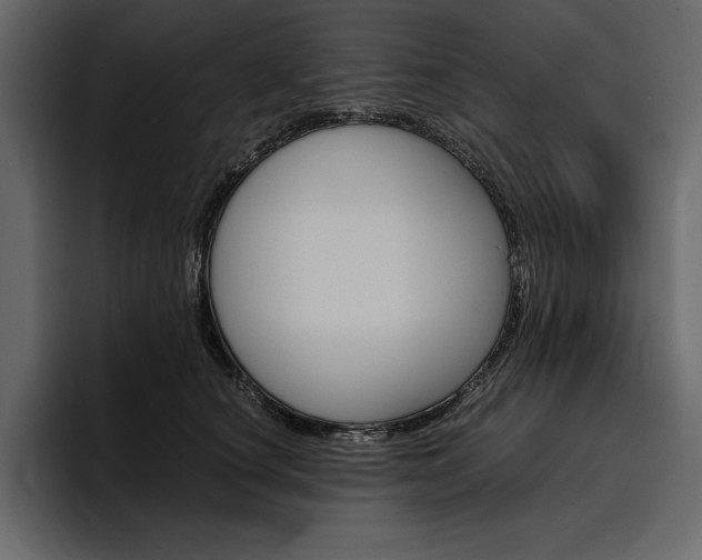 X0000097480660200802220821