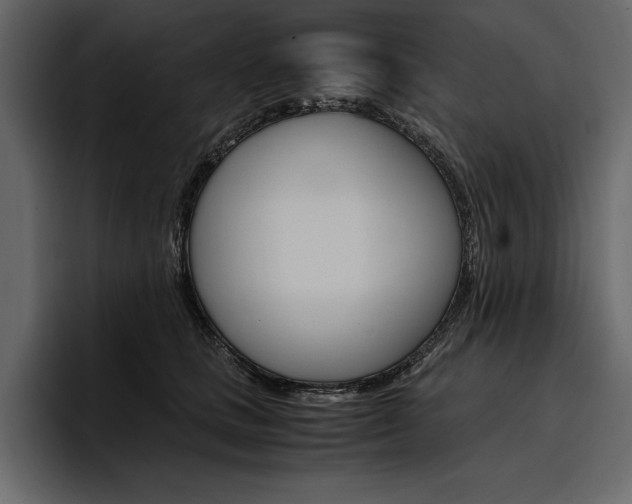 X0000097480661200802220821