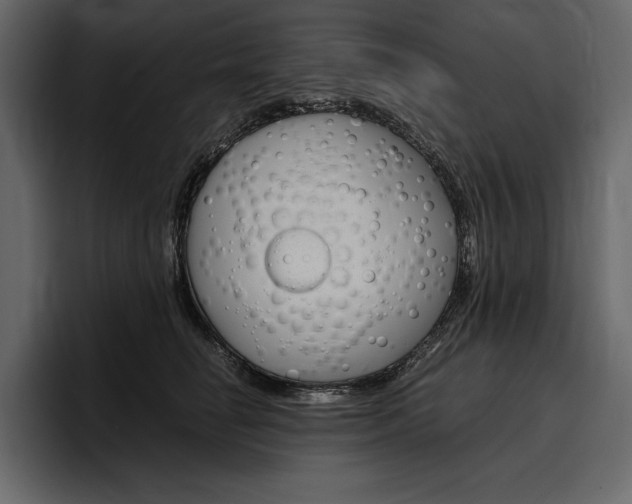 X0000097480662200802220821