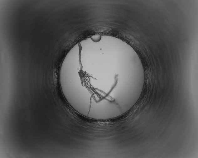 X0000097480664200802220822