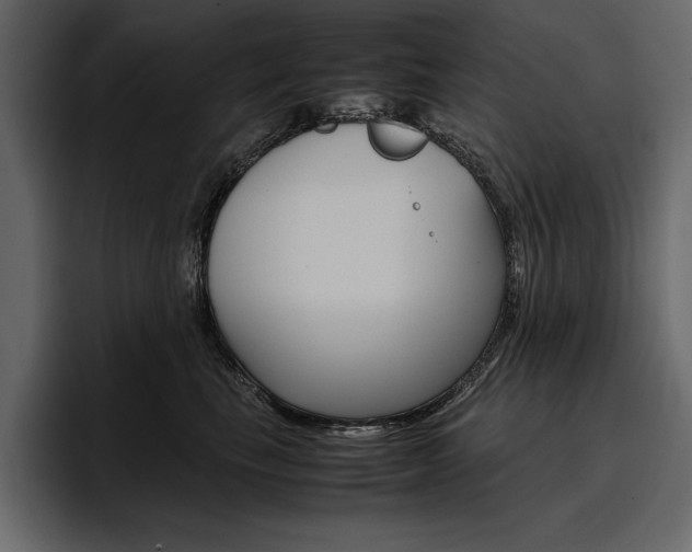 X0000097480665200802220822