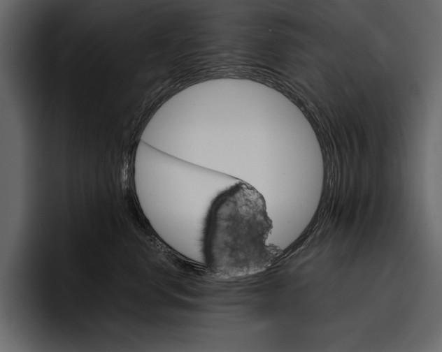 X0000097480668200802220822