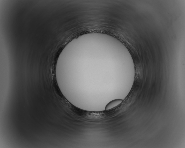 X0000097480671200802220822