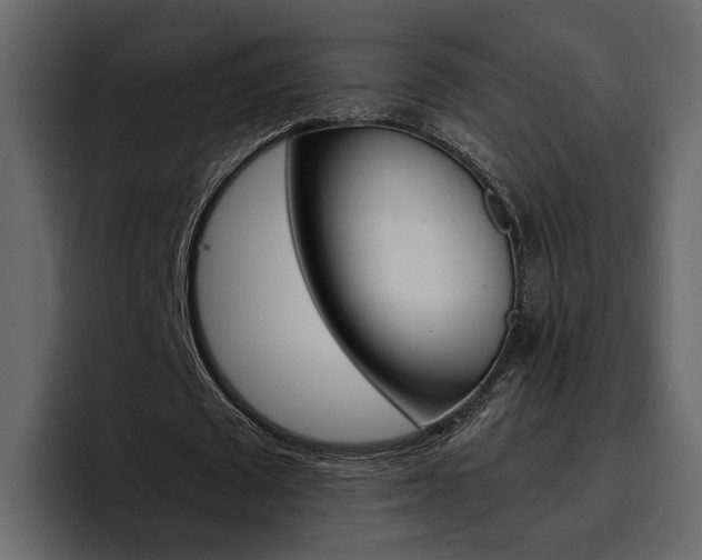 X0000097480673200802220821