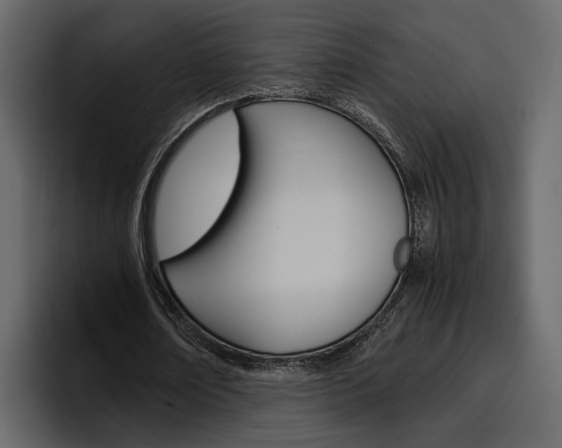 X0000097480674200802220821