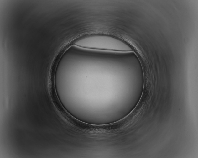 X0000097480677200802220821