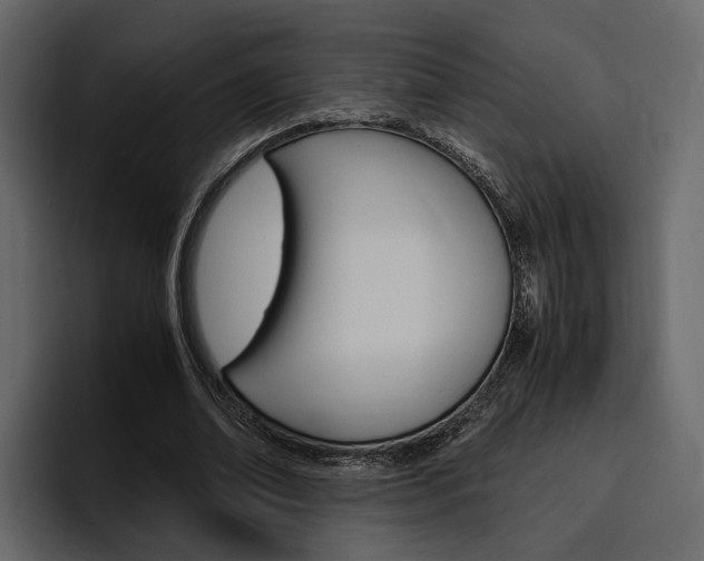 X0000097480678200802220821