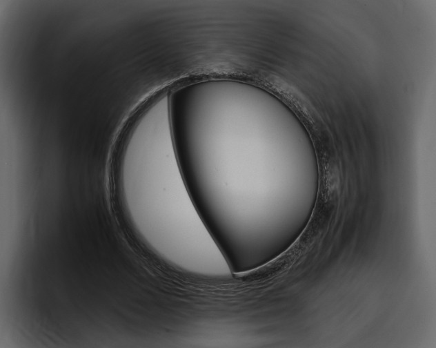 X0000097480680200802220821