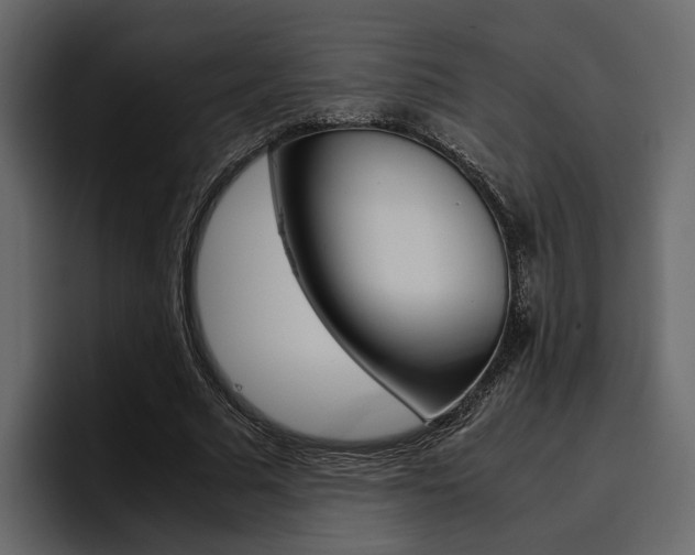 X0000097480681200802220821