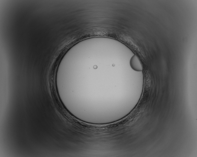 X0000097480683200802220821