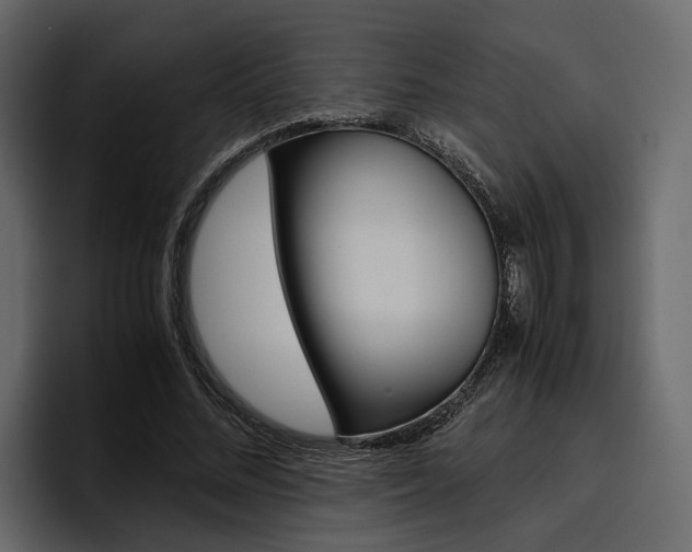 X0000097480684200802220821