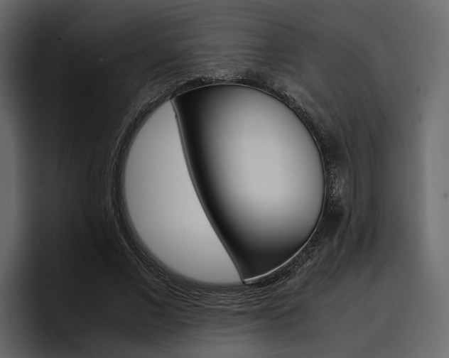 X0000097480685200802220821