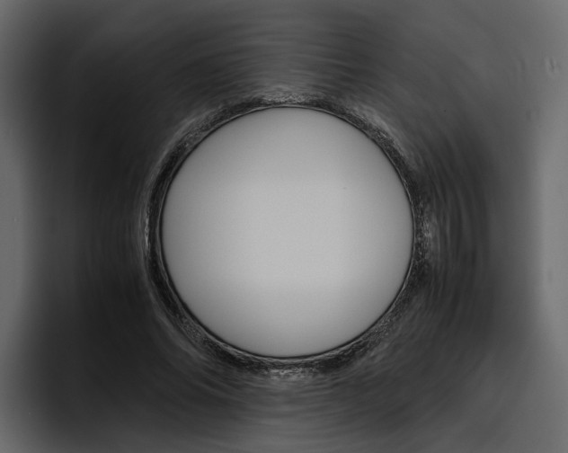 X0000097480686200802220821
