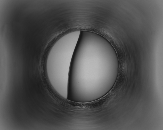 X0000097480688200802220821