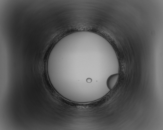 X0000097480690200802220821