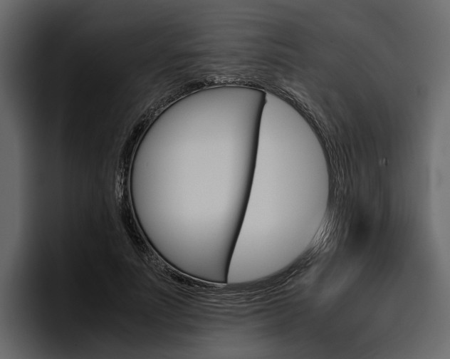 X0000097480691200802220821