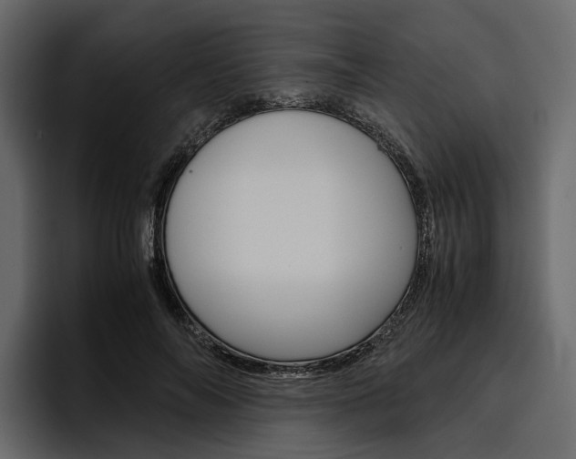 X0000097480694200802220821