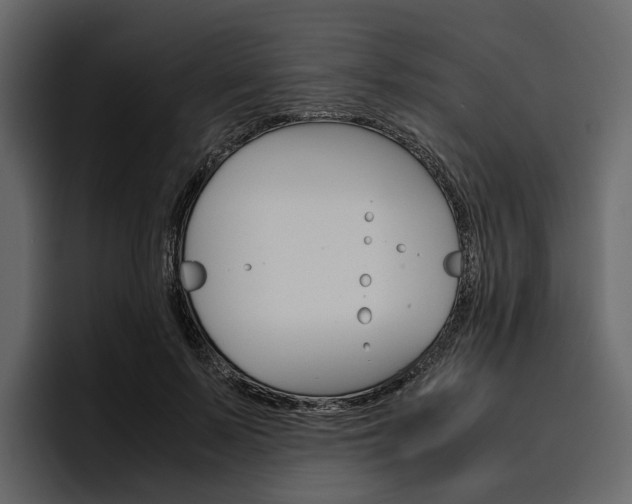 X0000097480695200802220821