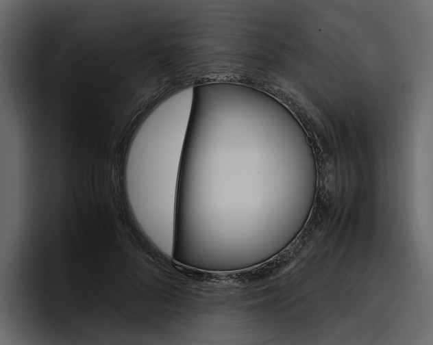 X0000097480696200802220821